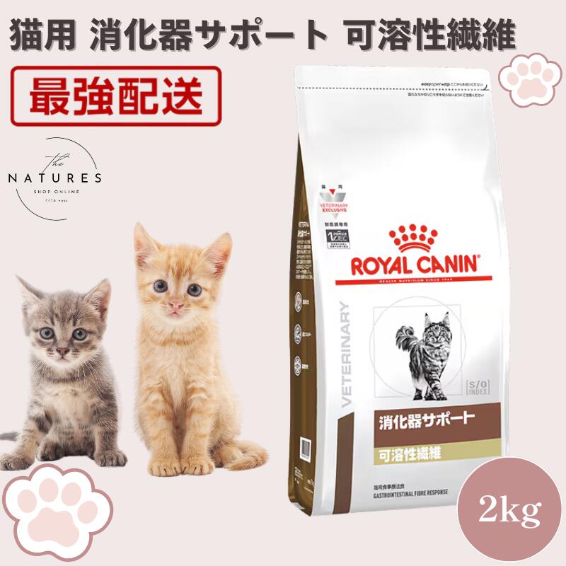 ロイヤルカナン 消化器サポート可溶性繊維」の人気商品一覧 | 安い商品