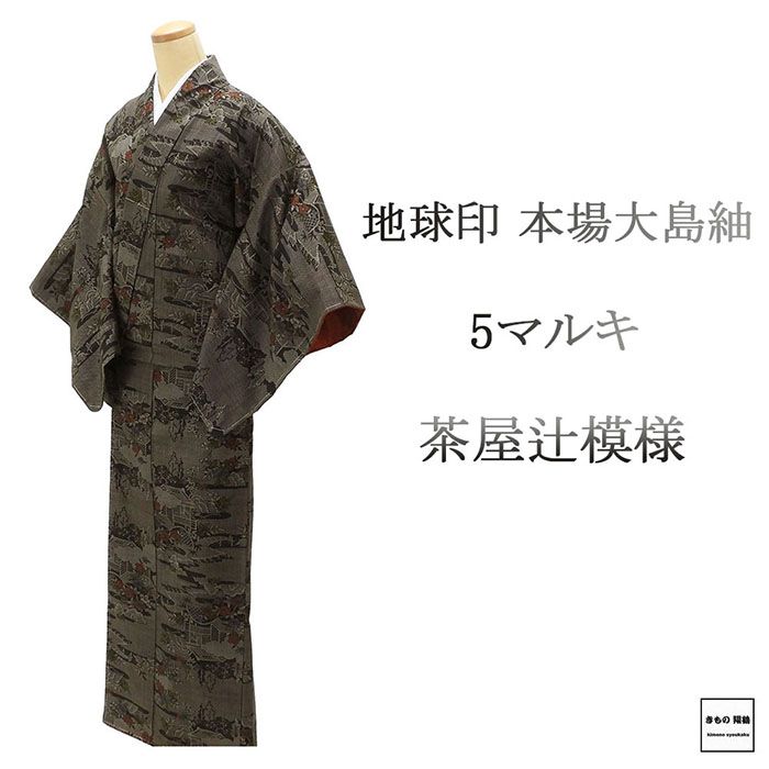 6567❫ ❦ 大島紬 (正絹) ❦ 短冊 【ちどりや】美品 正絹 大島紬 横双絣 袷