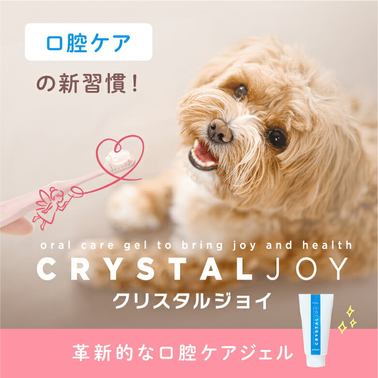 楽天市場】クリスタルジョイ 犬猫用歯みがきジェル 60g 無添加 口臭