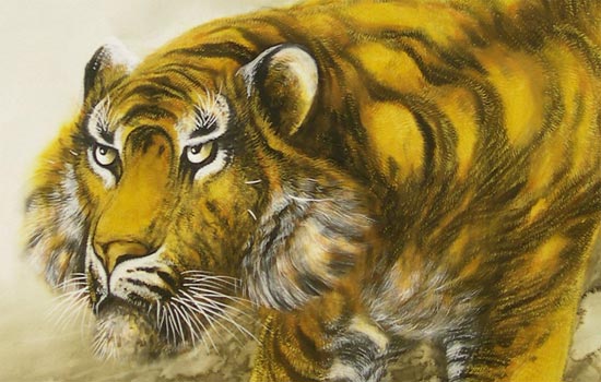 掛け軸 猛虎 (堀江玉鳳) 送料無料 【掛軸】【一間床】【虎】 商品詳細