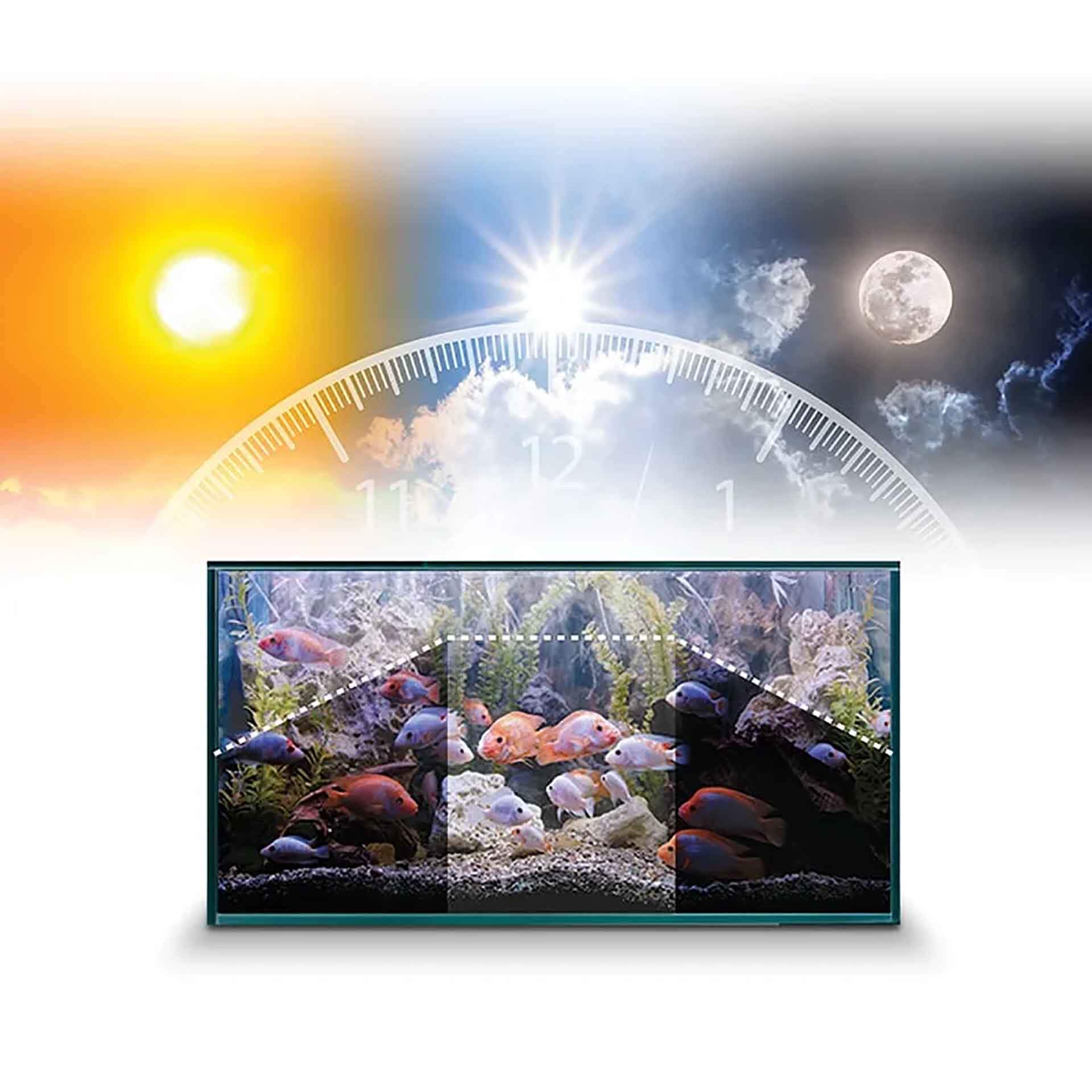 Fluval Nano Plant 3.0 LED Light with Bluetooth - The Tech Den