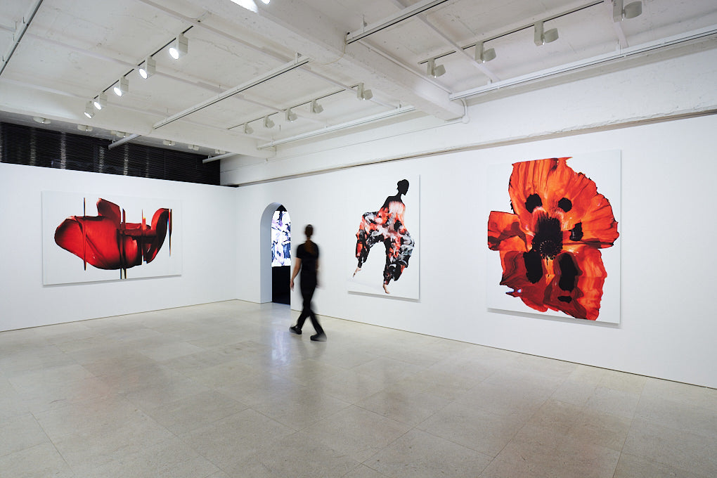 A-POC ABLE ISSEY MIYAKE「TYPE-VIII Kenta Umemoto project