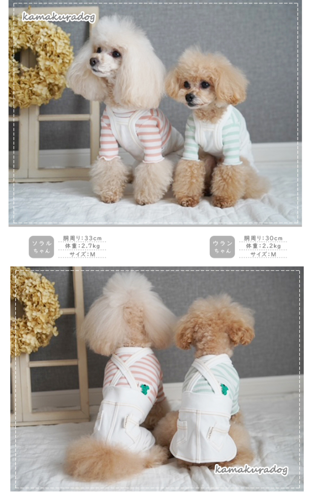 ハンドメイドジャンパースカート小型犬コーデュロイ