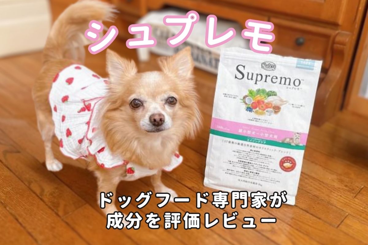 シュプレモ 小粒 子犬用全犬種19kg ニュートロ パピー ドッ