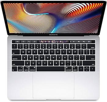 Amazon.com: Apple 13