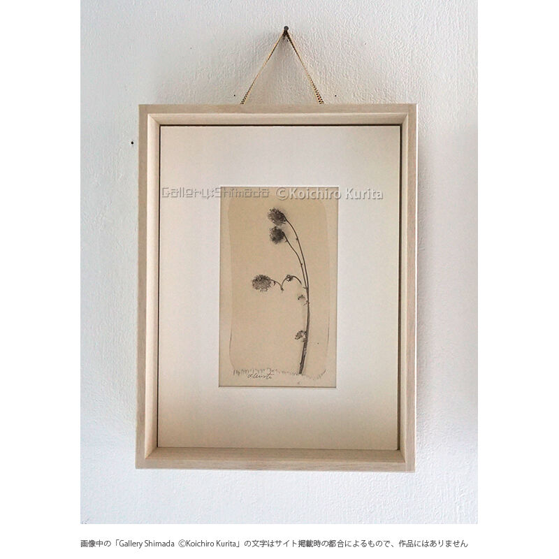 栗田紘一郎 Koichiro Kurita プラチナプリント写真 古典プリント