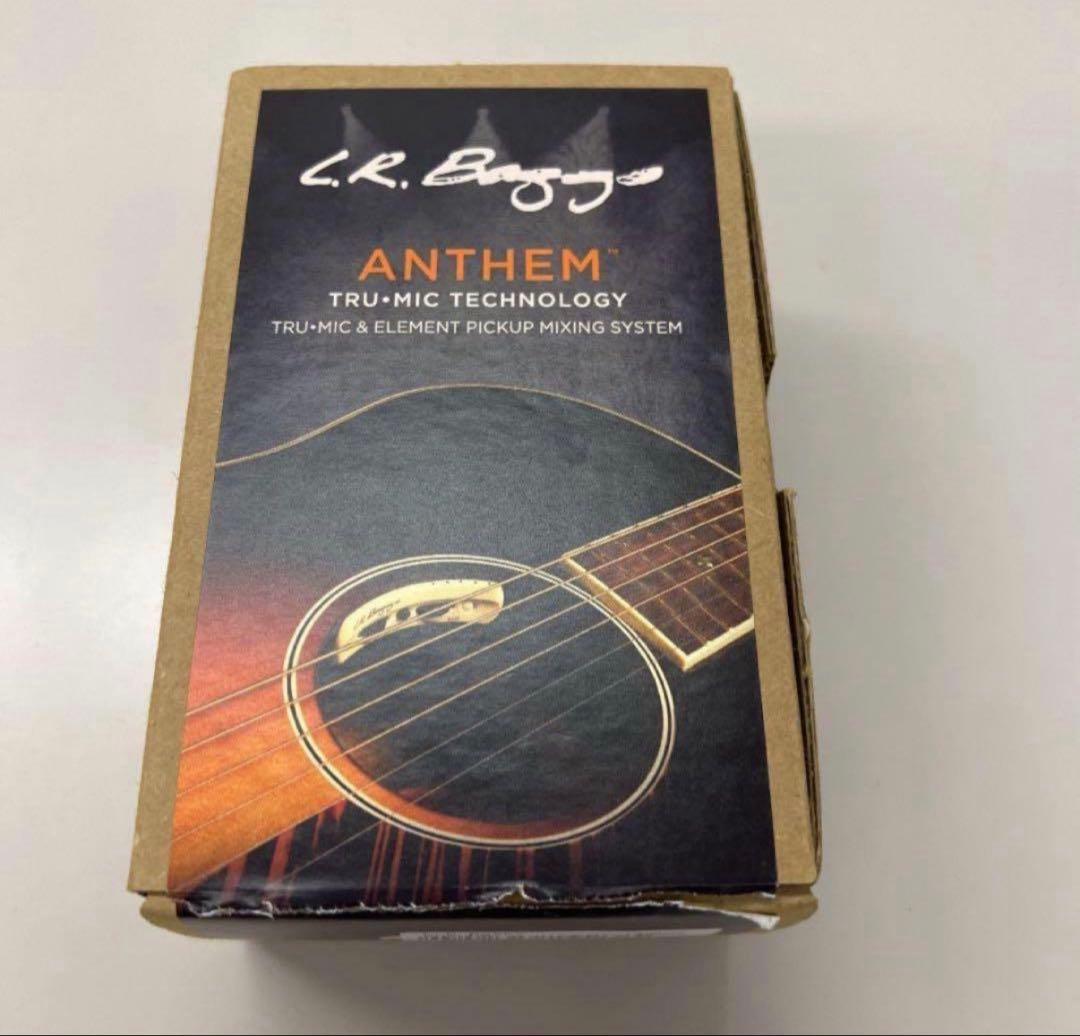 ギター L.R. Baggs Anthem L.R.Baggs Anthem – dieGitarre.ch
