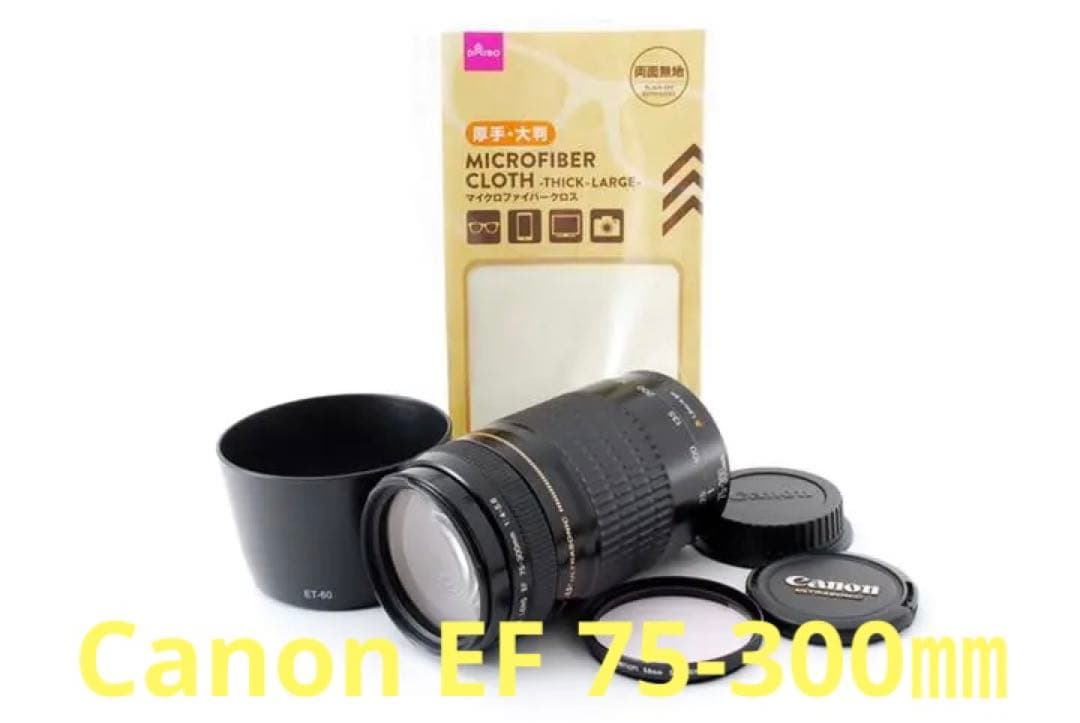 望遠レンズ☆フード付き☆一眼レフ カメラCanon EF75-300㎜ 望遠レンズ☆フード付き☆一眼レフ カメラCanon EF75-300㎜ カメラ